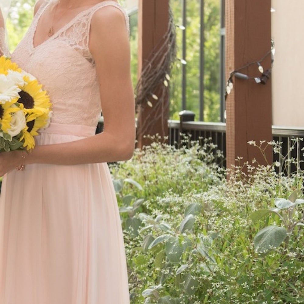 Lace Petal Pink Bill Levkoff dress